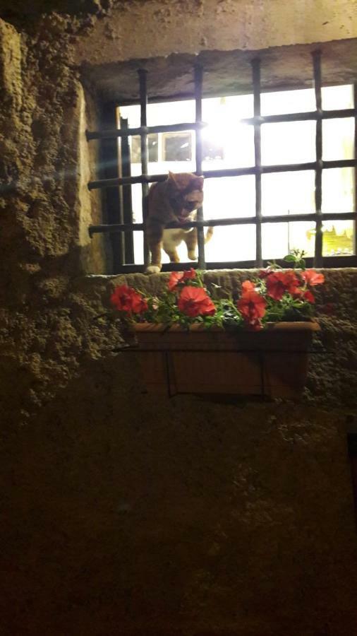 L'Arco Di Sersa リッコ・デル・ゴルフォ・ディ・スペーツィア エクステリア 写真